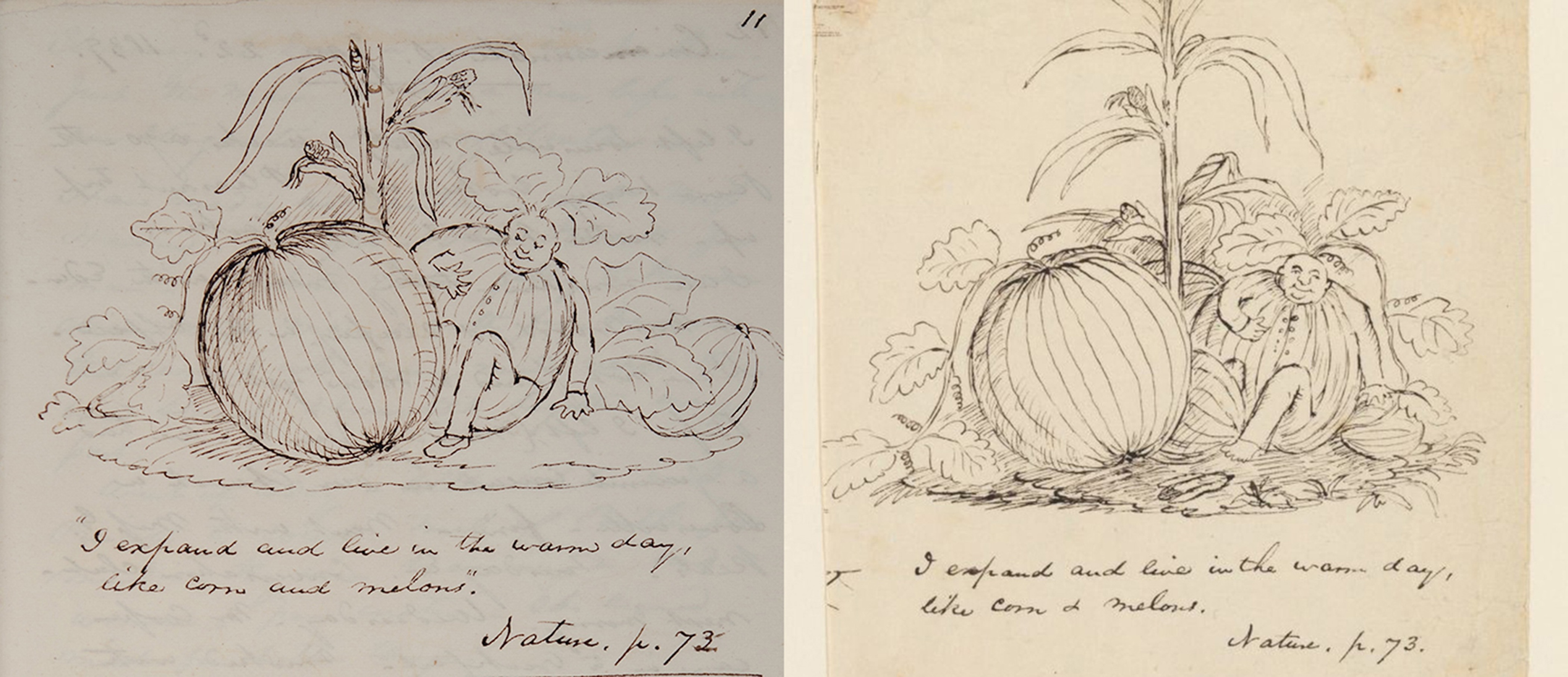 Christopher P. Cranch journal, 1839. Page 11. Original
                                    Manuscript from the Christopher P. Cranch Papers. Massachusetts
                                    Historical Society; Cranch, Christopher Pearse, 1813-1892.
                                    Illustrations of the New Philosophy: drawings,
                                    [ca.1837–1839] (MS Am 1506). Houghton Library, Harvard
                                    University, Cambridge, Massachusetts. See the drawing at http://nrs.harvard.edu/urn-3:FHCL.Hough:2317939